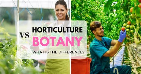 Horticulture vs botany. Horticulture vs. Botany. There are many careers with plants so it is important to understand the various fields and the academic requirements to prepare for them. Horticulture is the study of the art and science of growing fruits, vegetables, ornamental plants and turf grasses. On-the-job training might be enough for some positions in … 