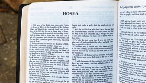 Hosea Archives Seeking Scripture