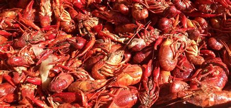 Hospice Foundation of the South Crawfish Cookoff 2024 in Slidell, …