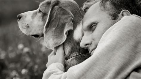 Hospice active dying.  This trajectory is often colloquially referred to...