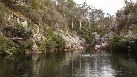 Hospital Creek, East Gippsland, State of Victoria, Australia