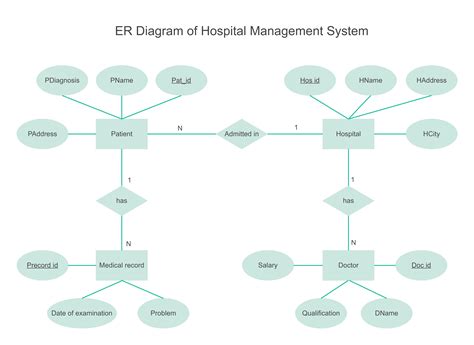 Hospital Database Er Diagram Examples Steve
