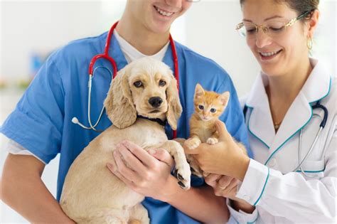 Hospitalization And Nursing Care - Bishopgate Animal Hospital