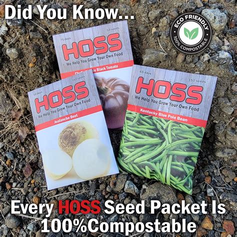 Hoss seeds. Place starting tray on bottom tray and lightly water from above to generously moisten seed starting mix. Repeat 3-4 times to ensure all of the soil in the cells are moist. Water should be dripping from the bottom of the trays. Make an indentation in the center of each cell using your hands or a pencil roughly 1/8″ – 1/4″ deep. 