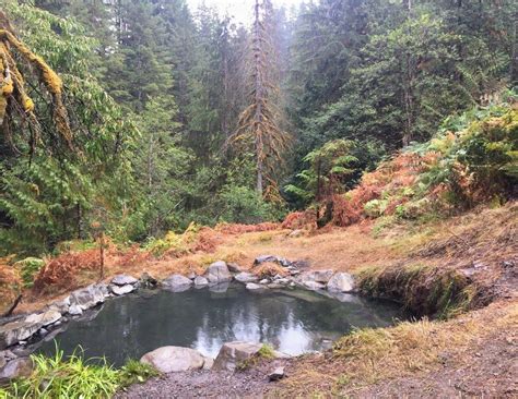 Hot Springs - Olympic National Park (U.S. National Park …