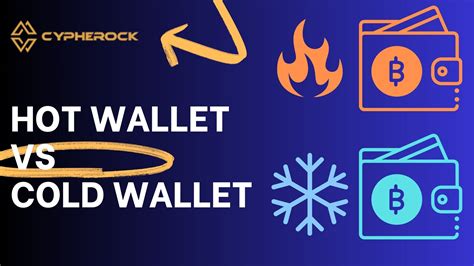 Hot and Cold Crypto Wallets: A Deeper Dive