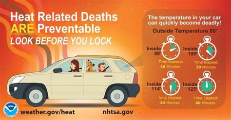 Hot car death dangers in extreme heat, 8 children have died so far this year