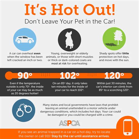 Hot car warning: How to keep your children, pets safe