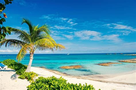 Hot places in january. 10 warm-weather and tropical destinations that have direct flights from major cities in the US and Canada--within a few hours, you’ll be lying on a warm, sunny beach with a cocktail in your hand. 