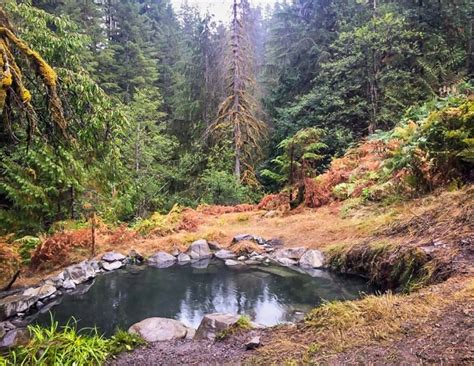 Hot springs in washington. Located along the Sol Duc River, Sol Duc Hot Springs Resort Campground is on the "edge of the backcountry in the heart of the Olympic National Park" with hot ... 