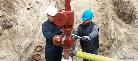 veodersti.rgarabwor.edu.pl. 