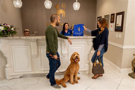 Hotels dogs. Things To Know About Hotels dogs. 