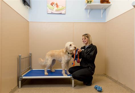 Hotels for dogs. We're recommended by vets, dog groomers, and other pet professionals to provide excellent boarding for dogs. You can trust us with your pup! Give your pup the best experience while you're away at our luxury dog hotel in Albuquerque! Get started by calling (505) 596-6872 or reach out online to schedule a tour! 