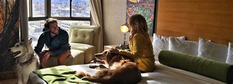 Hotels in reno that allow dogs. Top 10 Best Hotels Dog Friendly in Downtown, Reno, NV - November 2023 - Yelp - Renaissance Reno Downtown Hotel & Spa, The Jesse, Whitney Peak Hotel, Ramada by Wyndham Reno Hotel and Casino, Motel 6 
