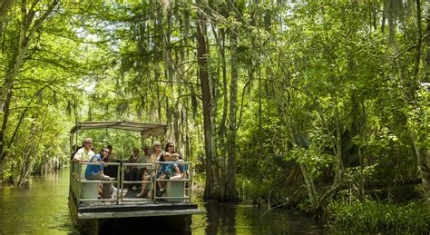 Houma booked on the bayou. Things To Know About Houma booked on the bayou. 