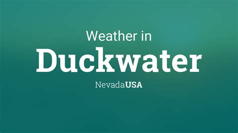 Hourly Weather Forecast for Duckwater, NV - The …