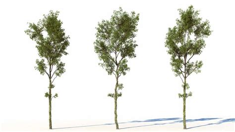 House 3d model free download.  257 Free Tree 3d models found.  Available for free downloa...