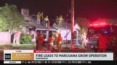 House fire leads to discovery of illegal marijuana operation in Northridge