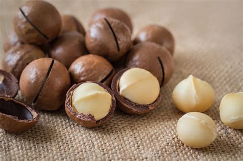 House of macadamia. Are Macadamias the Healthiest Nut? Superior Omega 3:6 ratio, 7x better than pistachios. Most heart-healthy monounsaturated fats. Only nut rich in Omega 7s, linked to natural collagen production, fat loss, and longevity. Lower levels of anti-nutrients (lectins, oxalate, and phytic acid). Uniquely rich and creamy flavor making them an easy ... 