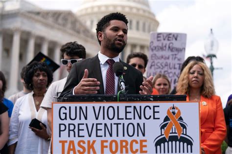 House passes resolution to undo new gun regulations