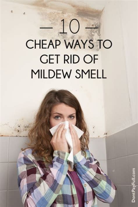 House smells like mildew. Mildew is a type of mold that can grow on many different surfaces. It usually appears thin and dark, but may also be white. Mildew grows in moist heat. It can develop on seat belts... 
