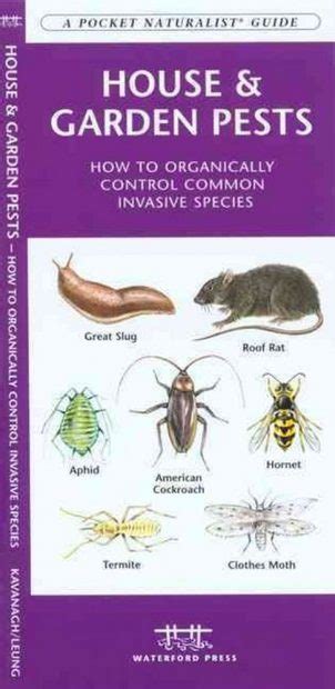 Full Download House  Garden Pests How To Organically Control Common Invasive Species By James Kavanagh