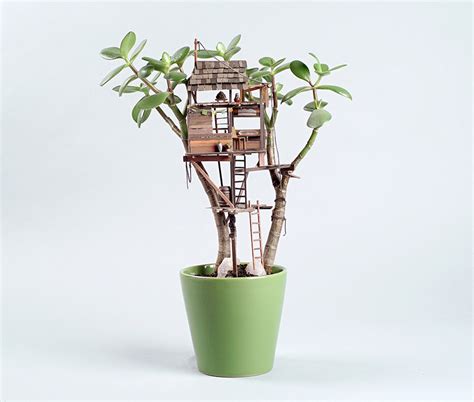 Houseplant Treehouses by Artist Jedediah Corwyn Voltz