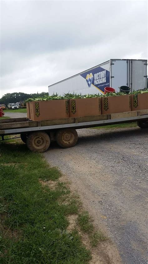 Housers produce. Debit to Sales Decounts for $24 Debit to Cash for $824 Credit to Accounts Receivable for $824 Credit to eventory for $24 Moving to another ou Question 34 The following information is available for Houser Produce Market Sales $225,000 Freight-in $11,000 Ending merchandise inventory 27,000 Purchase returns and allowances 4,000 Sales discounts … 