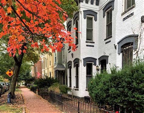 Houses for sale dc. A six-foot-wide, 600-square-foot home has hit the market in one of Washington, D.C.'s trendiest neighborhoods — look inside the $599,900 property. 
