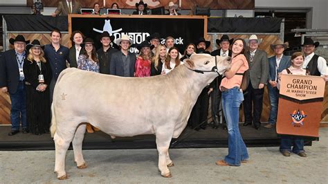 Houston Rodeo grand champion steer sells for record-breaking $1M