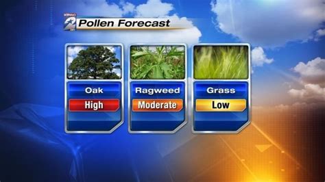 Houston allergy report Wednesday by: Adam Krueger. Posted: Apr 12, 2023 / 10:30 AM CDT. Updated: Apr 12, 2023 / 10:37 AM CDT. SHARE. This is an archived article and the information in the article .... 