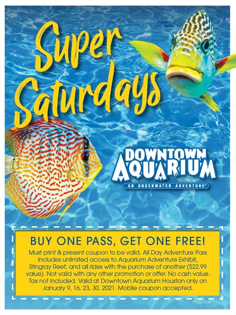 Houston aquarium coupons. Jenkinsons Aquarium Coupon ( 6 Verified Codes) 50% Off. Save 50% Off Over $20 at Jenkinsons Aquarium. Show Code. $70 Off. Save $70 Off Over $110 at Jenkinsons Aquarium. Show Code. 50% Off. Save … 