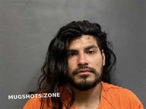 Houston county al mugshots.  Regularly updated.  Start using this County inmate search to obt...