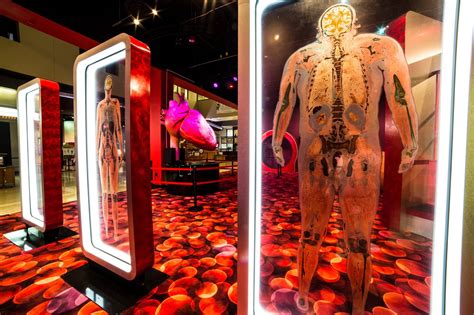 Houston health museum. Find hotels near The Health Museum, USA online. Good availability and great rates. Book online, pay at the hotel. No reservation costs. 