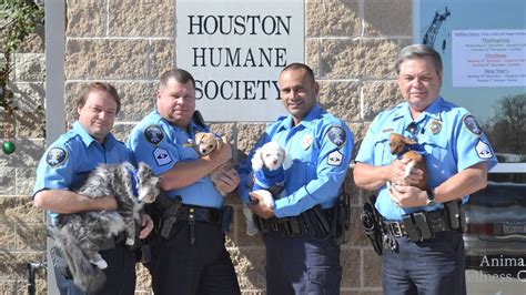 Houston humane society houston tx. Position Overview: The Houston Humane Society seeks a dynamic and visionary leader for the role of Director of Community Impact. The Director will be responsible for building community relations with government officials and community leaders and supervising a broad portfolio, including Education, Outreach, Pet Resources, Pets for Life (PFL), Volunteer Engagement, and Veterinary Social Work ... 