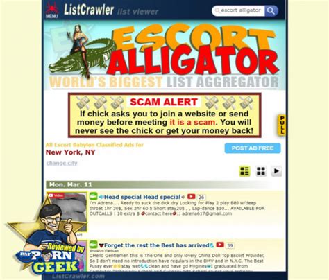 Houston listcrawlers. Are you looking for a list of alligators to crawl? Visit alligatorlistcrawler.com, the ultimate site for finding and exploring the most exotic and fascinating reptiles in the world. Discover … 