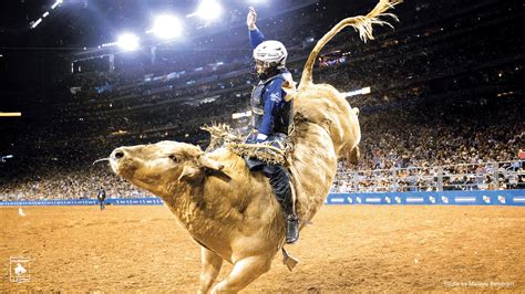 Houston livestock show and rodeo 2023. Rodeo shatters auction and attendance records, welcomes stellar lineup to the Star Stage including 10 new artists Inaugural class inducted into RODEOHOUSTON® Hall of Fame RODEOHOUSTON® athletes claim Championship victory and $50,000 prize 