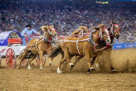Houston Livestock Show and Rodeo™: March 4 - 23, 2025. $7 Flat 
