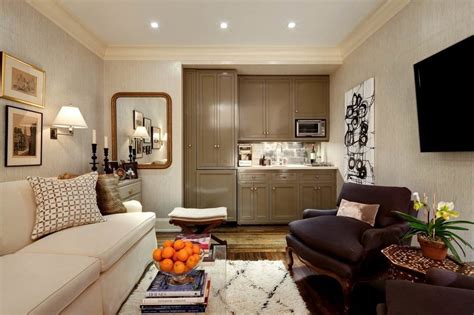 Houzz Small Living Room Decor Ideas