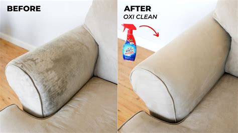 How Can I Clean Dog Poop Off A Leather Couch?