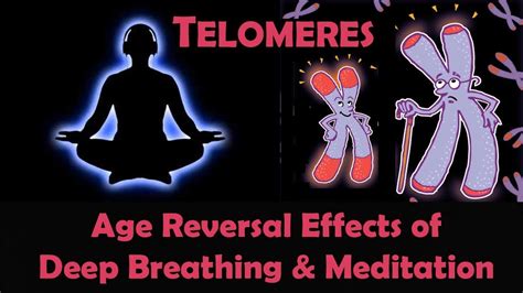 How Much Meditation Is Needed To Increase Telomere Length In Minutes?