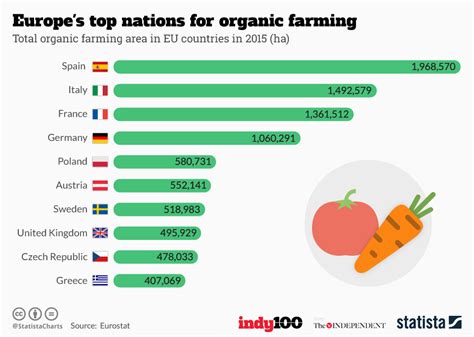 How Frequently Do People Use The Internet To Search For Organic Food?