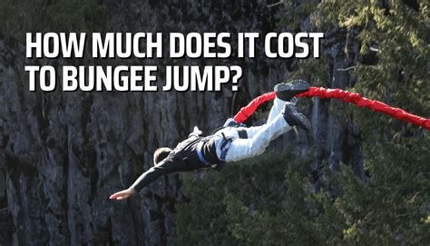 How much does it cost to start a bungee business? .