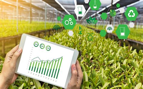 How AI Could Help Farmers Grow More Crops