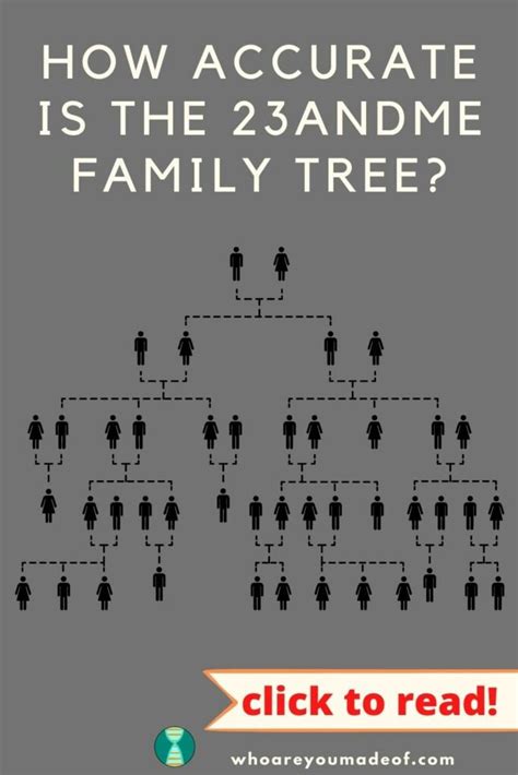 How Accurate is the 23andMe Family Tree? - Who are You …