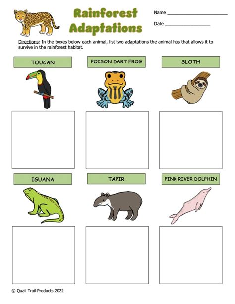 How Animals Adapt Worksheets K5 Learning