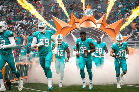 How Are The Miami Dolphins Doing This Year? - Go Explore Florida