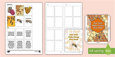 How Bees Make Honey Mini Book (teacher made) - Twinkl