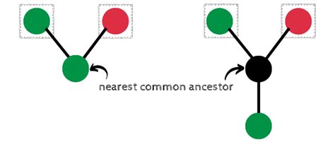 How Big Is The Number — Tree(3). Let us see how big a forest can …