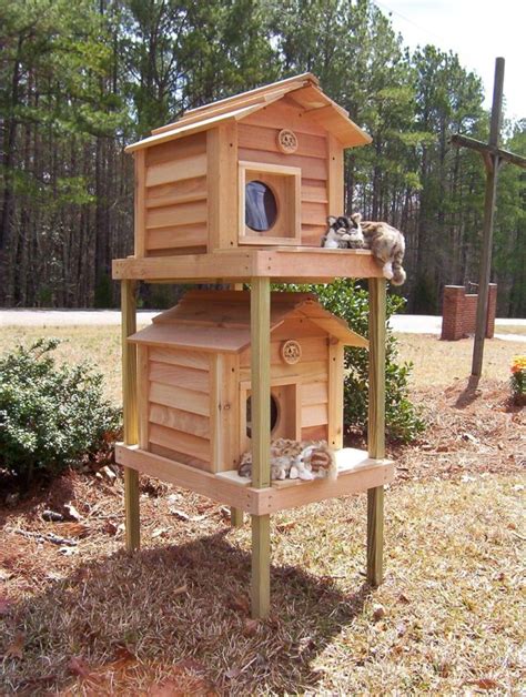 How Big Should A Cat House Be? - cool cat home